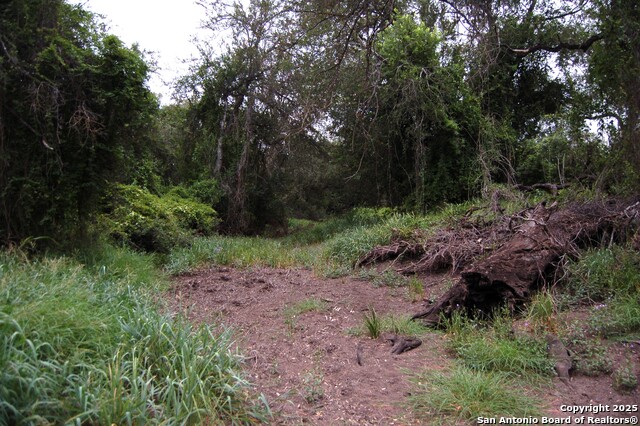 Listing photo id 2 for 634 West  