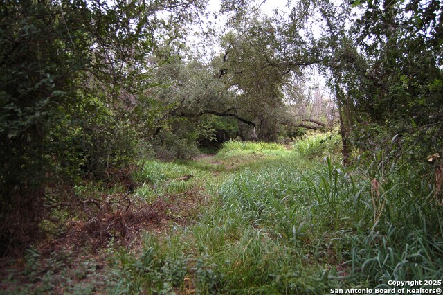 Listing photo id 3 for 634 West  