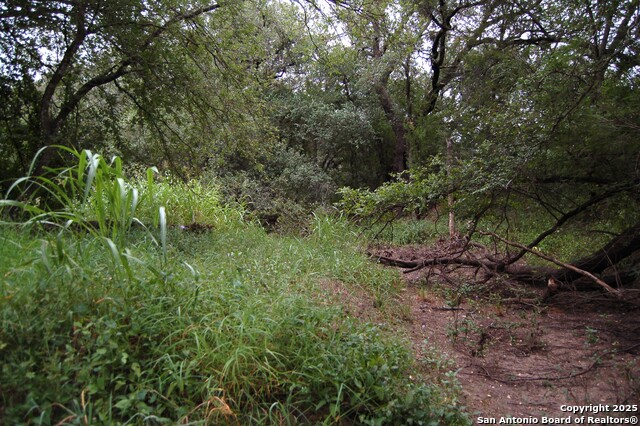 Listing photo id 4 for 634 West  