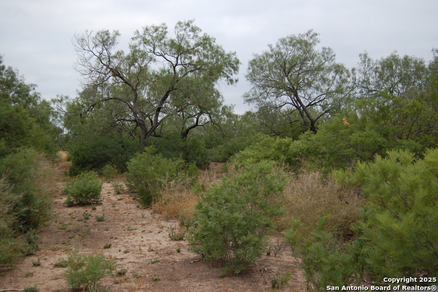 Listing photo id 5 for 634 West  