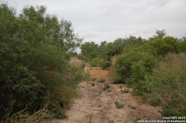 Listing photo id 6 for 634 West  