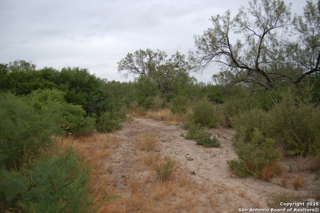 Listing photo id 7 for 634 West  