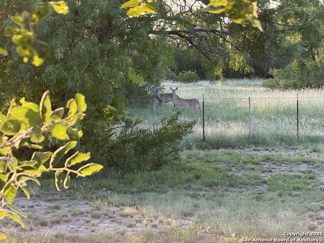 Image 38 of 40 For 344 Cr 341 E