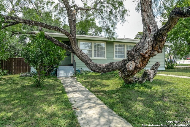 239 Arvin