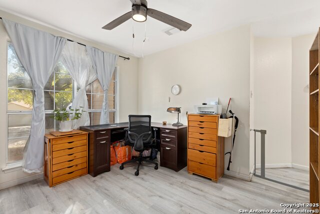 Image 12 of 33 For 719 Leopard