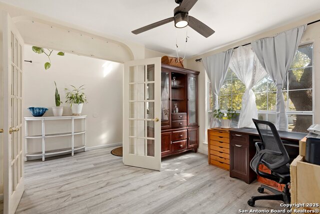 Image 13 of 33 For 719 Leopard