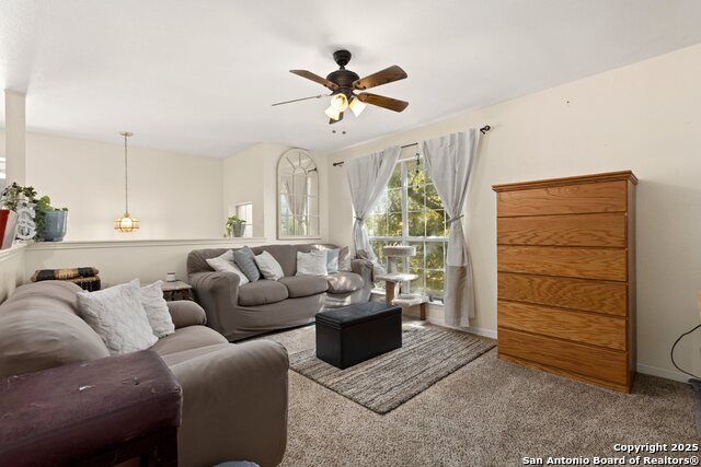 Image 14 of 33 For 719 Leopard