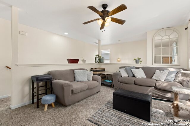 Image 15 of 33 For 719 Leopard