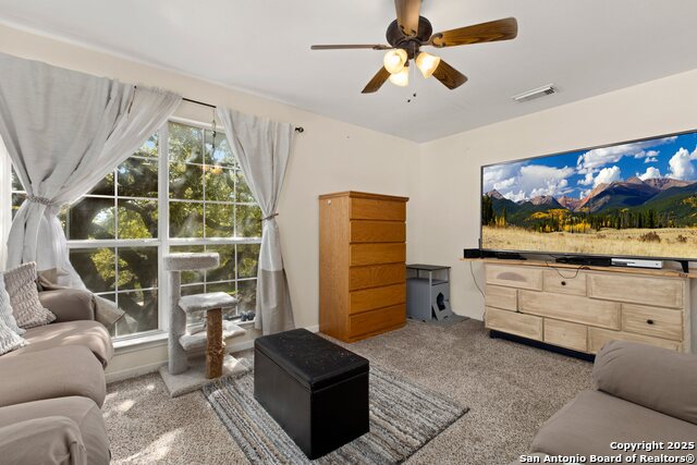 Image 17 of 33 For 719 Leopard