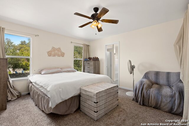 Image 18 of 33 For 719 Leopard