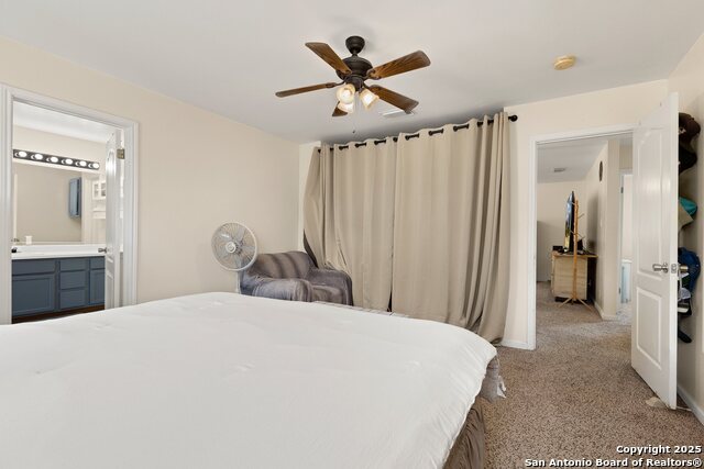 Image 19 of 33 For 719 Leopard