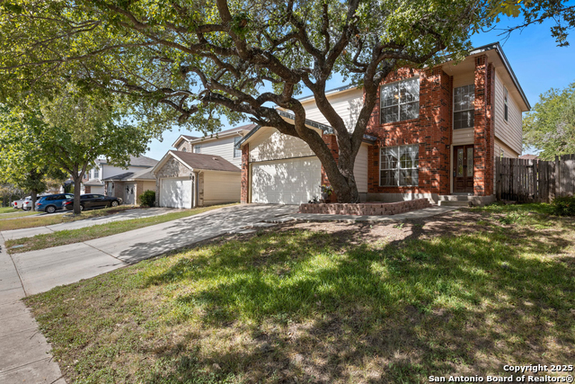 Image 2 of 33 For 719 Leopard