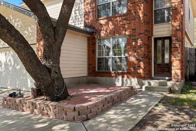 Image 3 of 33 For 719 Leopard