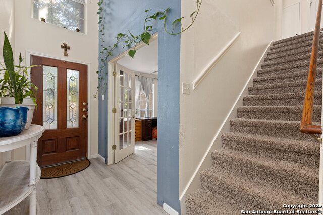 Image 4 of 33 For 719 Leopard