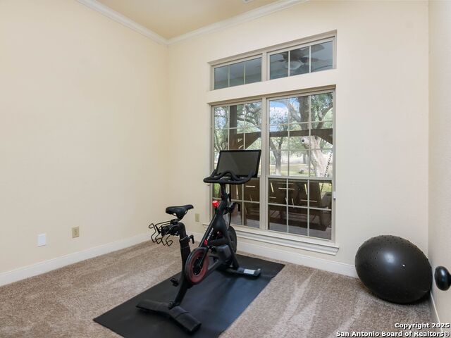 Image 20 of 62 For 272 Schaper