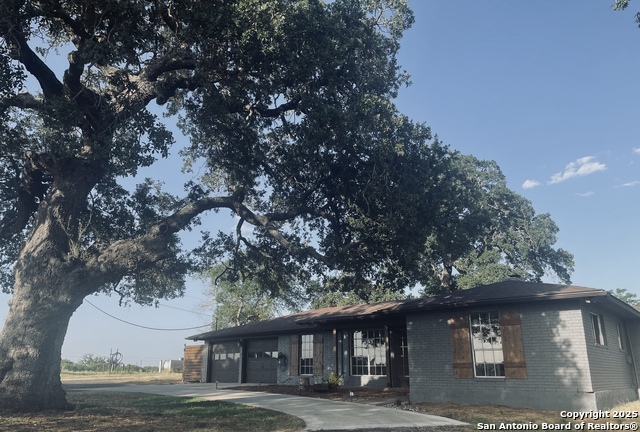 Image 3 of 19 For 3010 Triple Tree