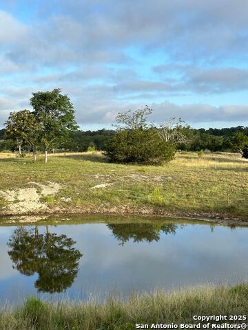 Image 10 of 32 For 171 Flowering Sage