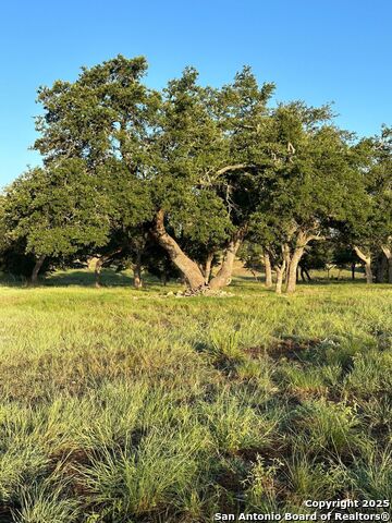 Image 11 of 32 For 171 Flowering Sage