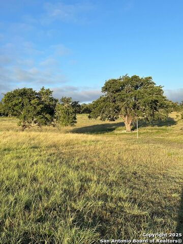 Image 12 of 32 For 171 Flowering Sage