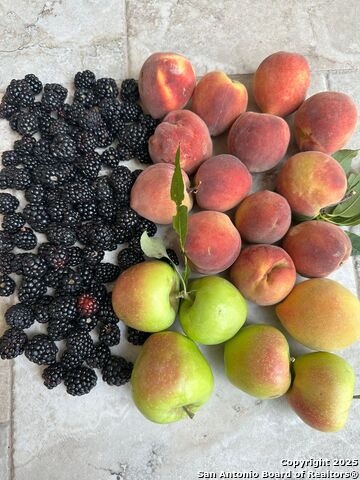 Image 14 of 32 For 171 Flowering Sage