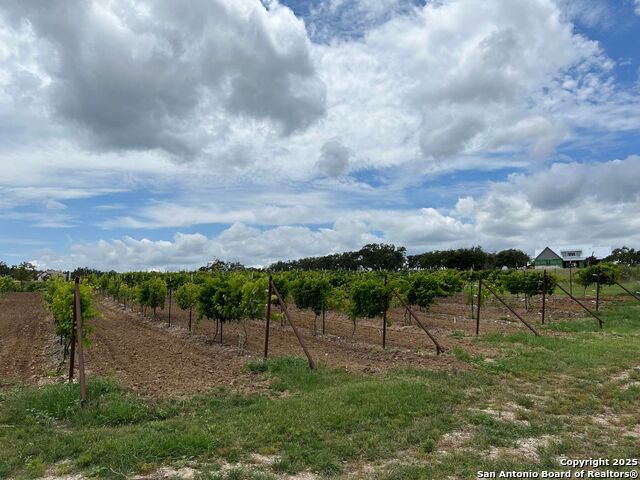 Image 16 of 32 For 171 Flowering Sage
