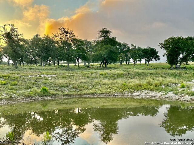 Image 2 of 32 For 171 Flowering Sage