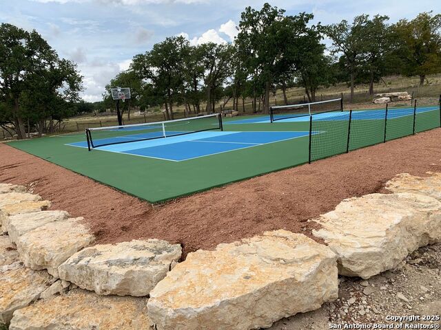 Image 28 of 32 For 171 Flowering Sage
