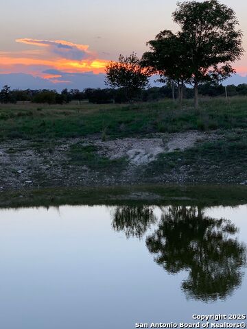 Image 31 of 32 For 171 Flowering Sage