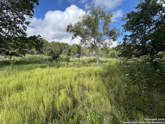 Listing photo id 2 for 135 Marshall