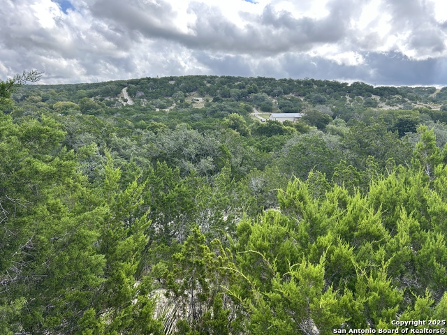 Listing photo id 3 for 135 Marshall