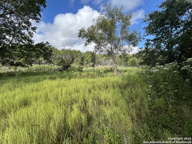 Listing photo id 4 for 135 Marshall