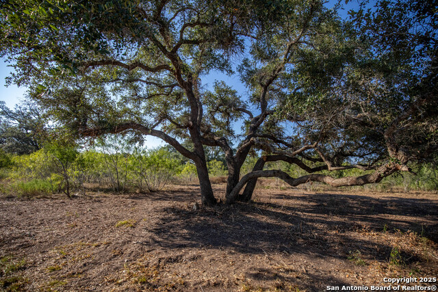 Listing photo id 8 for 000 Stratton Road