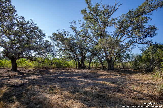 Listing photo id 9 for 000 Stratton Road