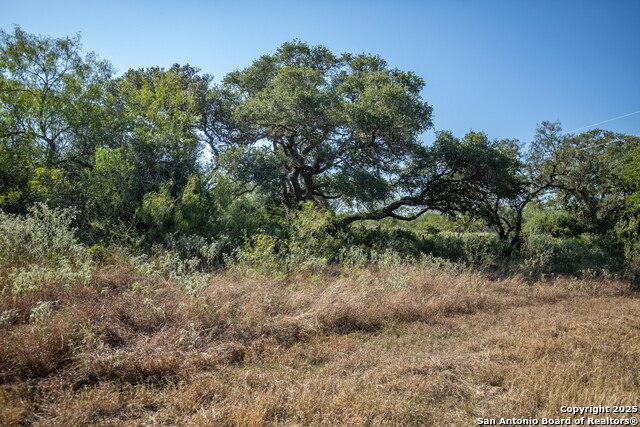 Listing photo id 16 for 000 Stratton Road