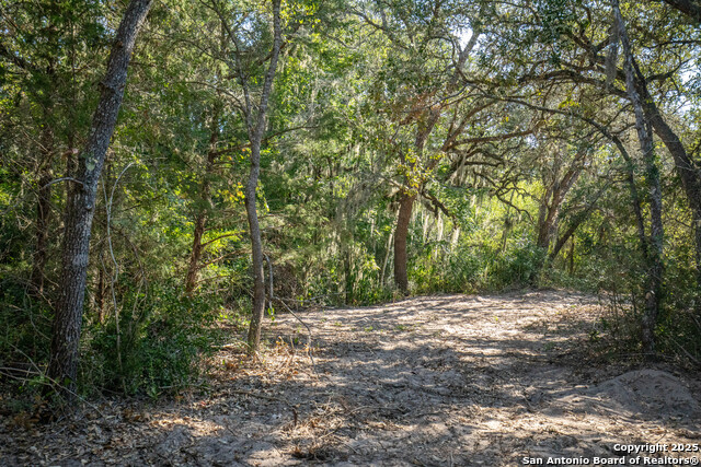 Listing photo id 19 for 000 Stratton Road
