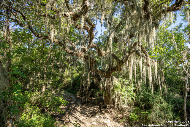 Listing photo id 20 for 000 Stratton Road