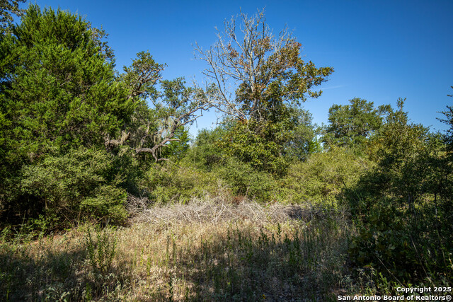 Listing photo id 22 for 000 Stratton Road
