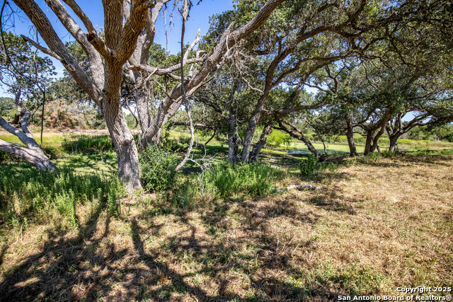 Listing photo id 42 for 000 Stratton Road