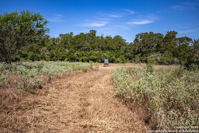 Listing photo id 44 for 000 Stratton Road
