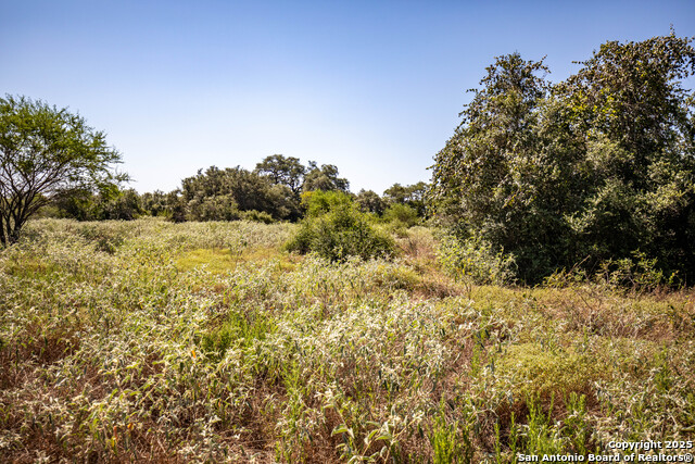 Listing photo id 46 for 000 Stratton Road