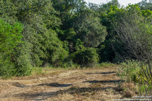 Listing photo id 47 for 000 Stratton Road