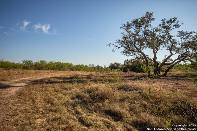 Listing photo id 5 for 000 Stratton Road