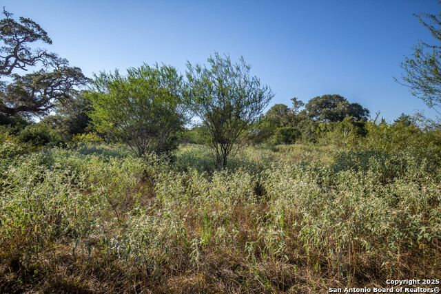 Listing photo id 6 for 000 Stratton Road