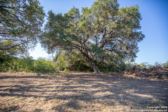 Listing photo id 7 for 000 Stratton Road