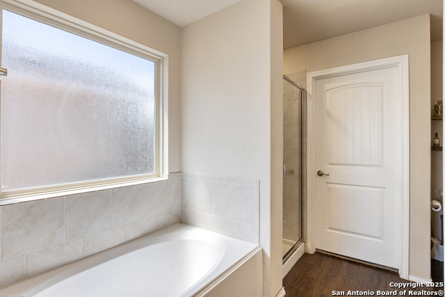 Image 24 of 35 For 11814 Plover