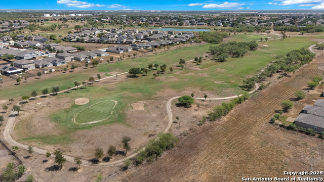 Image 35 of 35 For 11814 Plover