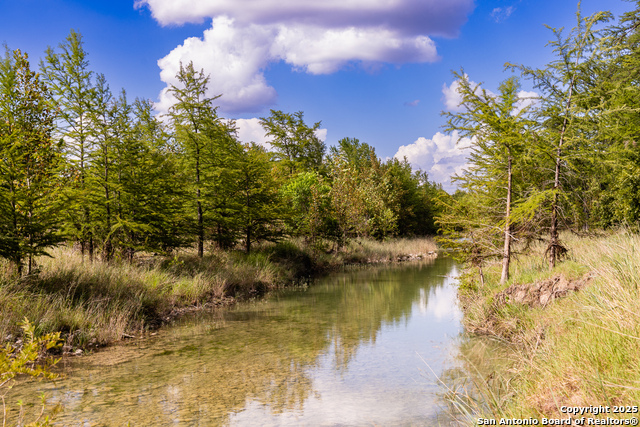 Listing photo id 23 for 667 Medina Bend