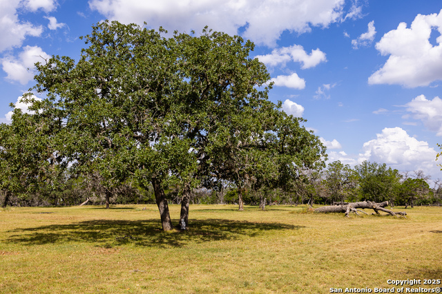 Listing photo id 24 for 667 Medina Bend