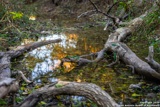 Image 12 of 18 For 326 Lehne Ln