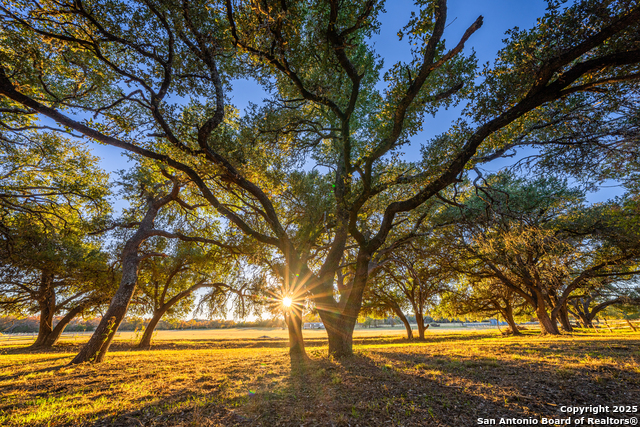 Image 9 of 18 For 326 Lehne Ln